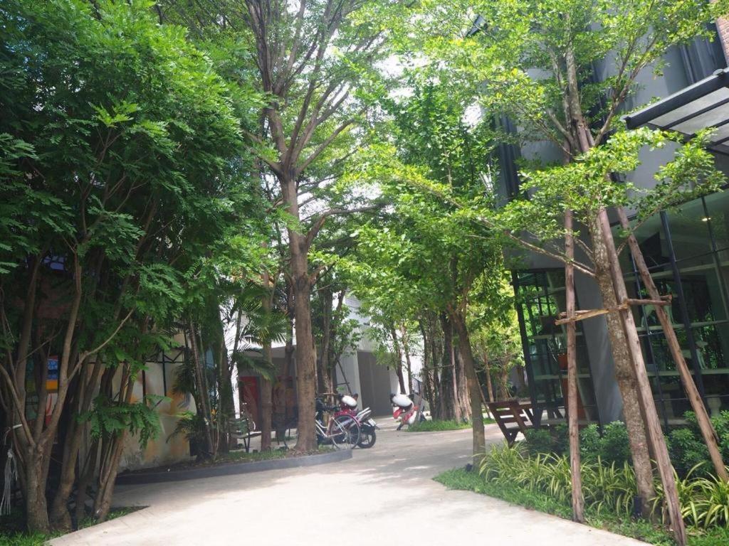 Bb House Chaingmai Chiang Mai Dış mekan fotoğraf
